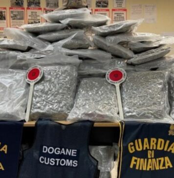 Carico di droga sequestrato al porto di Civitavecchia: stupefacenti nascosti tra stoffe e prodotti chimici