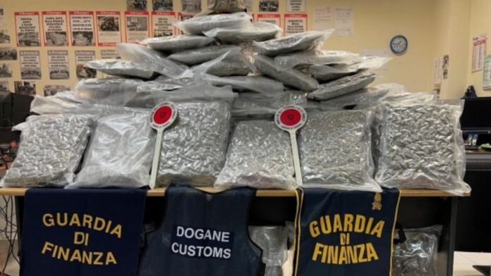 Carico di droga sequestrato al porto di Civitavecchia: stupefacenti nascosti tra stoffe e prodotti chimici