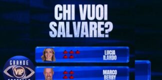 Grande Fratello Vip