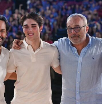 I Cesaroni, Il Ritorno