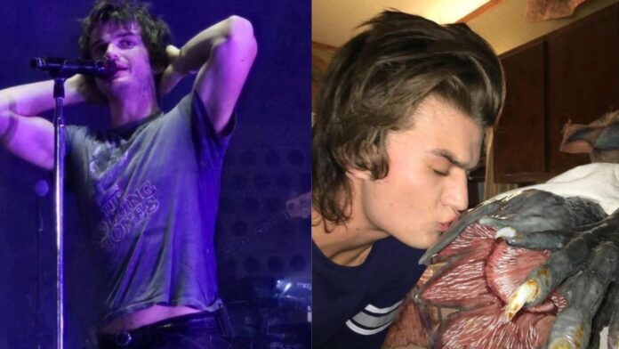 Concerti in Italia di Joe Keery, Steve di Stranger things: date, location, biglietti