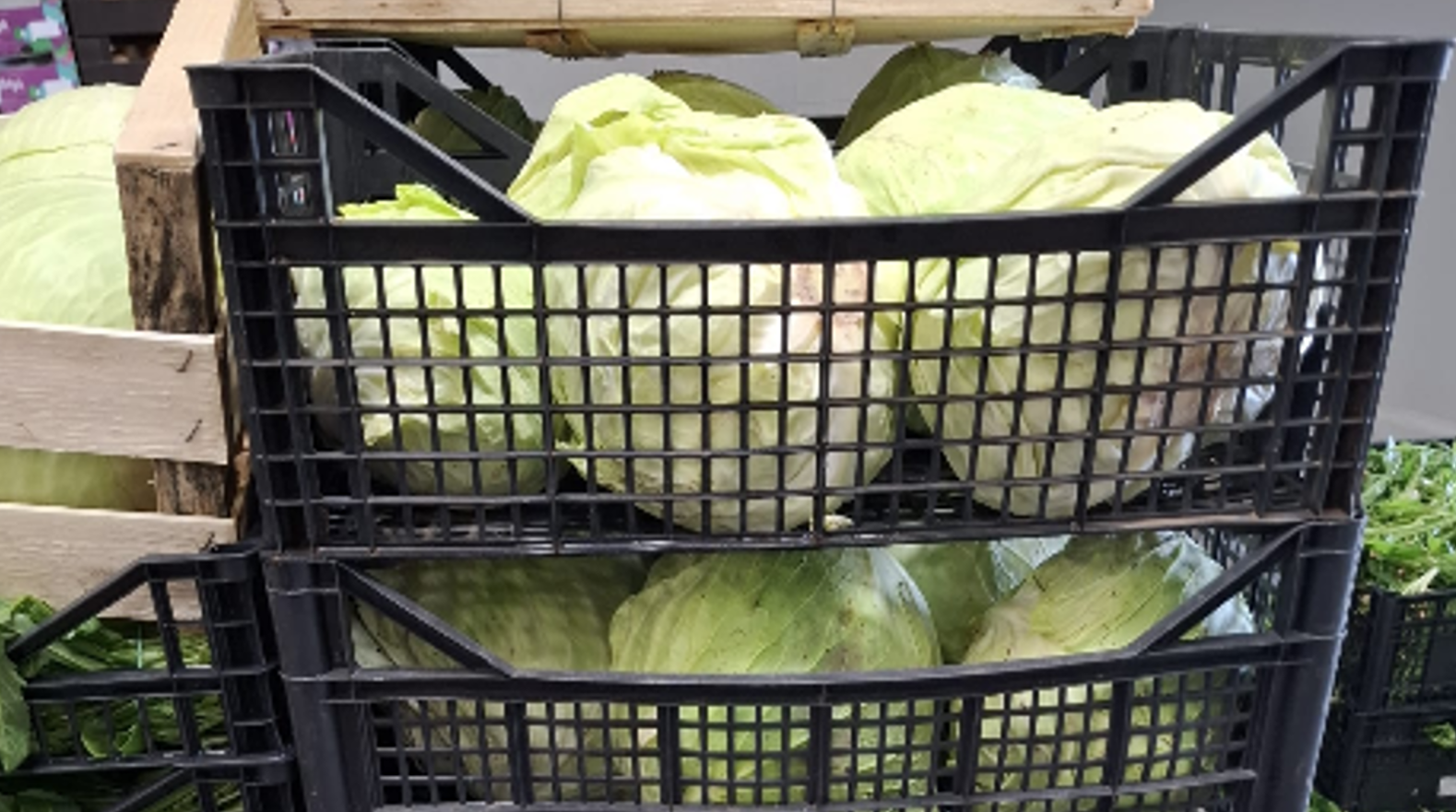 Solidarietà dal cuore agricolo del Lazio: 800 casse di ortofrutta e 120 uova di Pasqua per chi ha bisogno 3 Solidarietà dal cuore agricolo del Lazio: 800 casse di ortofrutta e 120 uova di Pasqua per chi ha bisogno 3