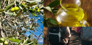 Escursioni, gastronomia, relax e passeggiate nella Natura: doppio appuntamento gratuito al Parco regionale dei Monti Lucretili