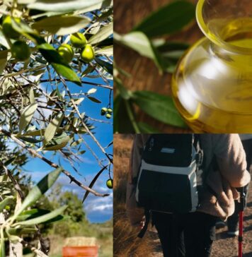 Escursioni, gastronomia, relax e passeggiate nella Natura: doppio appuntamento gratuito al Parco regionale dei Monti Lucretili