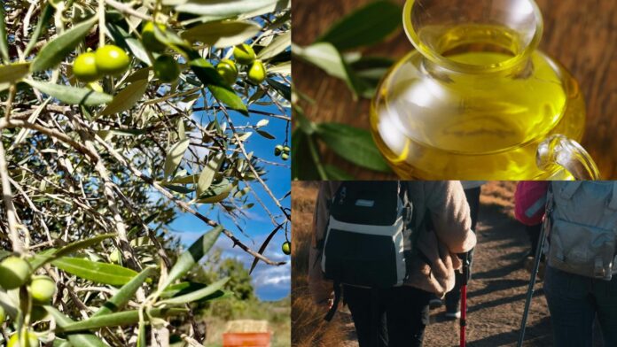 Parco regionale Escursioni, gastronomia, relax e passeggiate nella Natura: doppio appuntamento gratuito al Parco regionale dei Monti Lucretili
