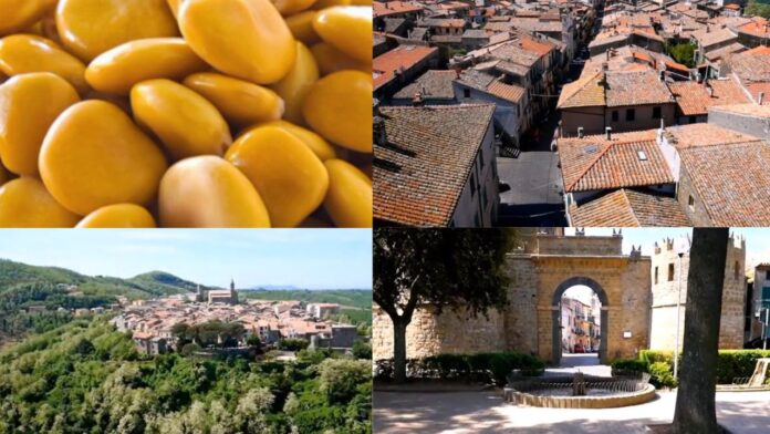 Sagra del lupino a Valentano, appuntamento gustoso e occasione per visitare il borgo