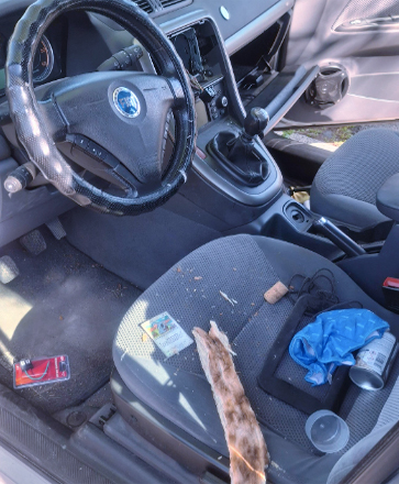 Razzia nei parcheggi di Ostia: ladri non si fermano neanche a Pasqua e banchettano nella auto aperte e svuotate (FOTO) 1