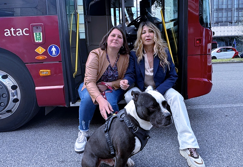 Adozioni del cuore nel verde della Capitale: torna la sfilata di cani dei canili comunali con Andrea Rivera (FOTO) 2