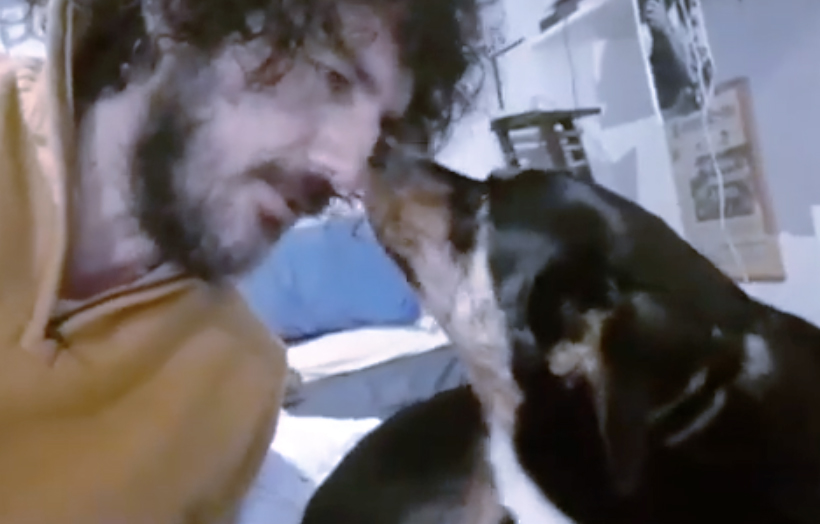 Adozioni del cuore nel verde della Capitale: torna la sfilata di cani dei canili comunali con Andrea Rivera (FOTO) 1