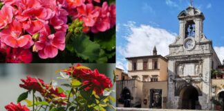 Sutri in fiore 2026: cosa vedere nel borgo tra installazioni floreali e tesori della Tuscia