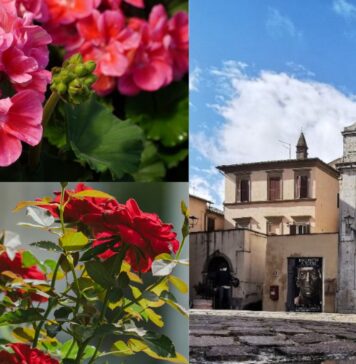 Sutri in fiore 2026: cosa vedere nel borgo tra installazioni floreali e tesori della Tuscia