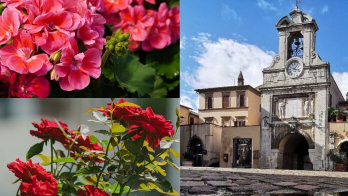 Sutri in fiore 2026: cosa vedere nel borgo tra installazioni floreali e tesori della Tuscia