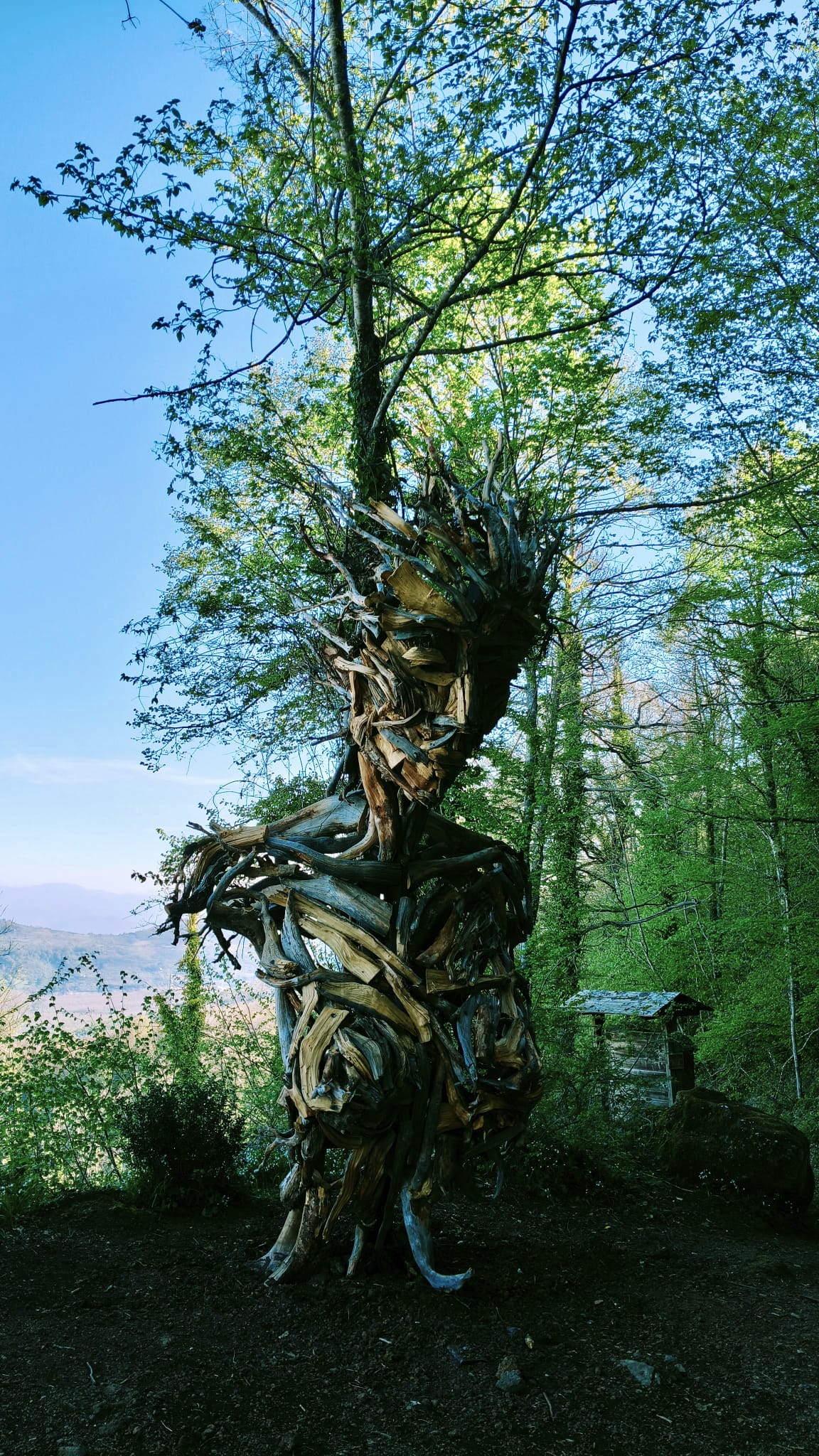 La "Gigantessa" che veglia sui Castelli: nei boschi di Rocca di Papa spunta la statua di Martalar (FOTO) 2