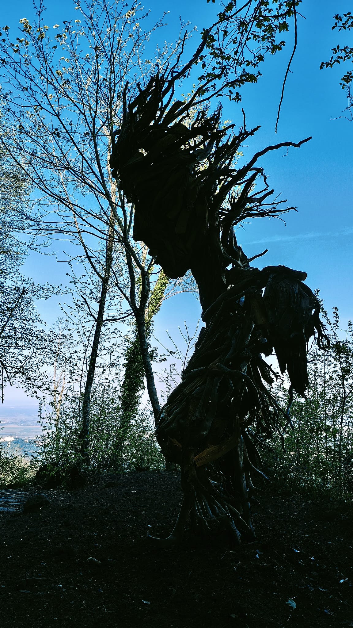 La "Gigantessa" che veglia sui Castelli: nei boschi di Rocca di Papa spunta la statua di Martalar (FOTO) 3