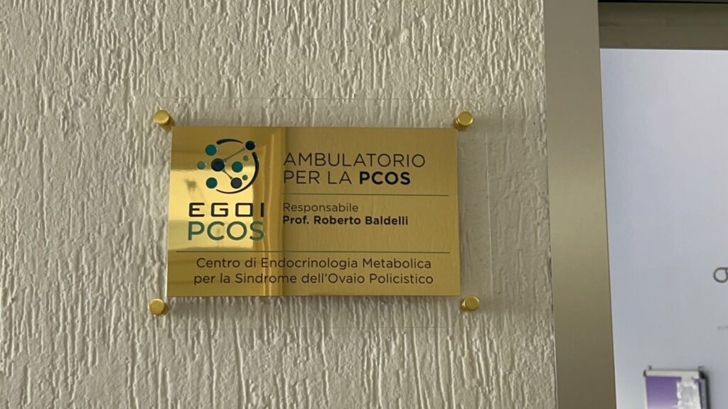 Ovaio policistico, apre al San Camillo di Roma il centro specializzato: si accede con il ticket 1 Ovaio policistico, apre al San Camillo di Roma il centro specializzato: si accede con il ticket 1