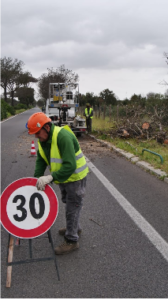Tronco di pino si schianta su un’auto in via Cristoforo Colombo: a un passo dalla tragedia 2 Tronco di pino si schianta su un’auto in via Cristoforo Colombo: a un passo dalla tragedia 2