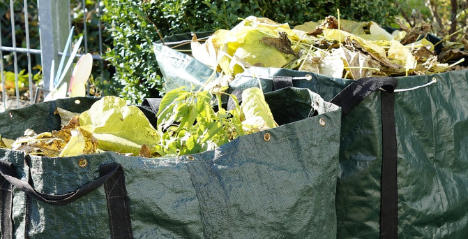 a fiumicino potatura del verde