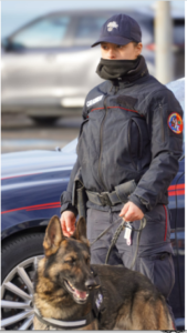 Incursione dei carabinieri nelle strade della droga a Ostia: dosi agganciate a una lenza da pesca (FOTO) 3 Incursione dei carabinieri nelle strade della droga a Ostia: dosi agganciate a una lenza da pesca (FOTO) 3