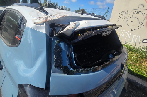 Dramma a Stagni di Ostia pino cade su auto con madre e figlio: vigili del fuoco sul posto (VIDEO E FOTO) 5
