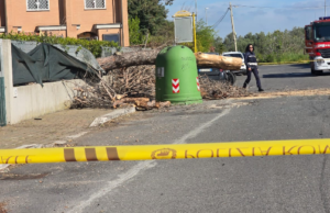 Dramma a Stagni di Ostia pino cade su auto con madre e figlio: vigili del fuoco sul posto (VIDEO E FOTO) 3