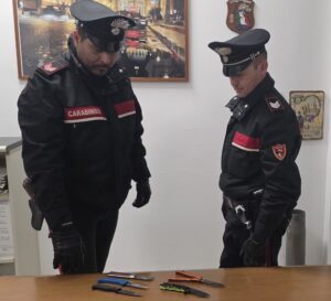 Piante di papavero indiano nel giardino di casa: scattano le denunce 1