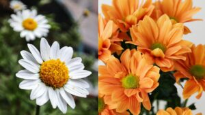 Che fare a Roma e Litorale romano nel weekend dall'1 al 3 maggio: dove si entra gratis 1