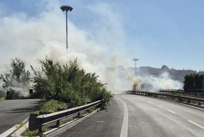 incendio-portuense