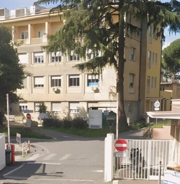 Chirurgia frascati