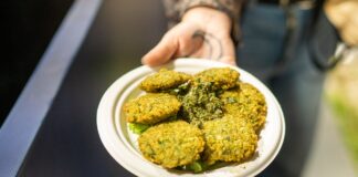 Roma Vegan Festival