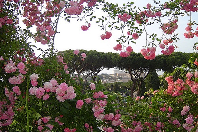 roseto-comunale--