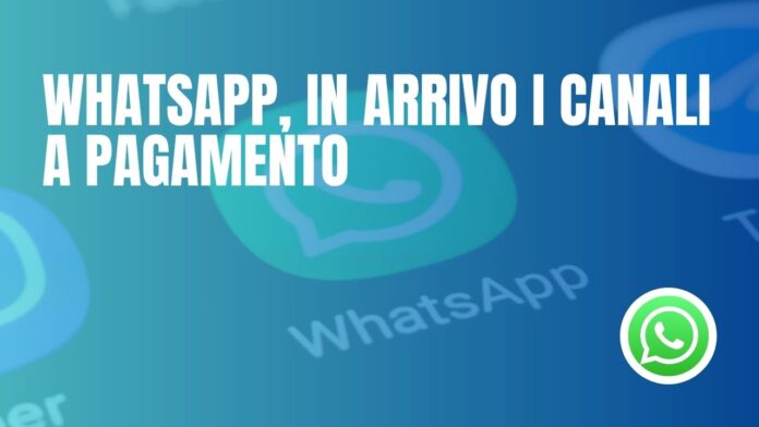 whatsapp canali a pagamento