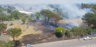 incendio a tor de cenci, fiamme in largo pepicelli