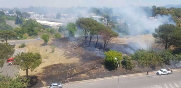 incendio a tor de cenci, fiamme in largo pepicelli