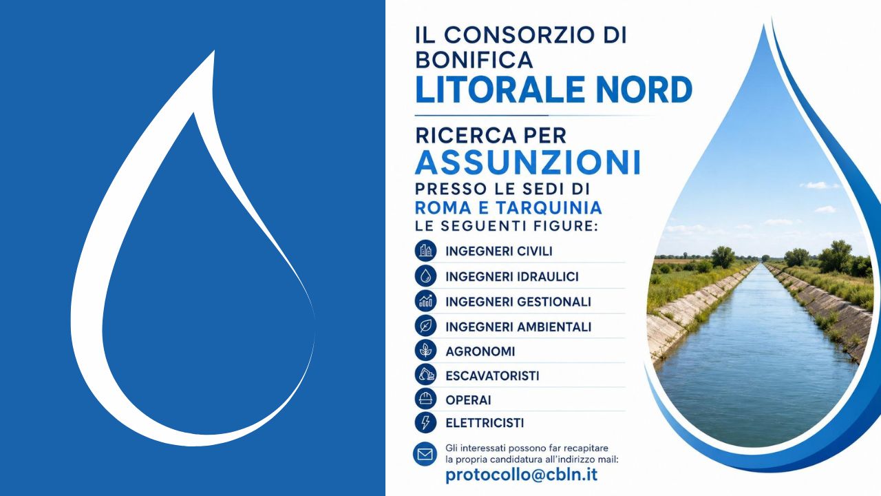 CBLN assume personale, posizioni aperte