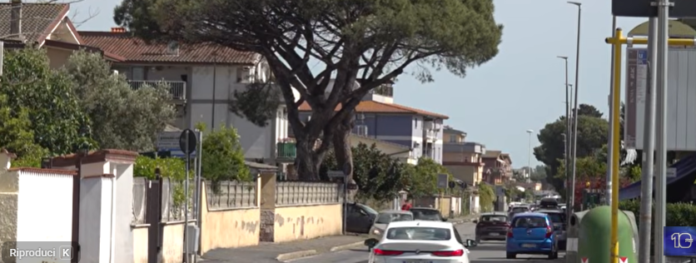 DRAGONA CANALEDIECI IT