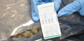 Droga, quasi 20 Kg di marijuana sequestrati all'aeroporto di Fiumicino: passeggero arrestato