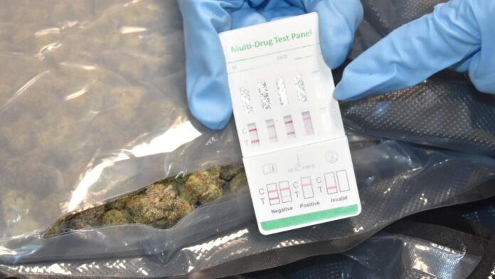 Droga Guardia di finanza Droga, quasi 20 Kg di marijuana sequestrati all'aeroporto di Fiumicino: passeggero arrestato