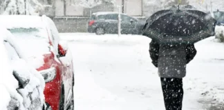 Nevicata in corso