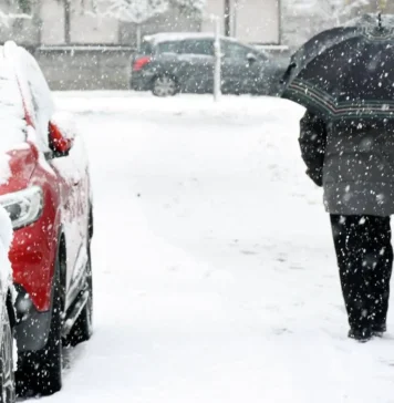 Nevicata in corso