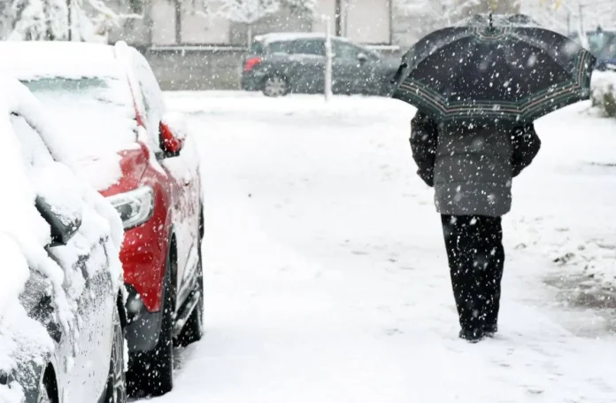 Nevicata in corso