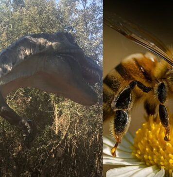 Weekend all’Oasi WWF Macchiagrande: programma completo tra natura, mare e laboratori