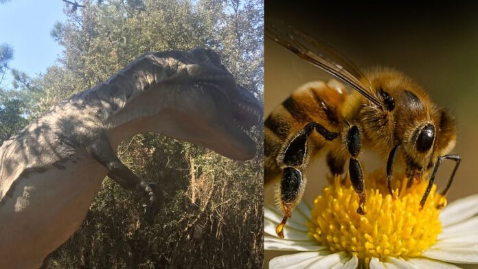 Weekend all’Oasi WWF Macchiagrande: programma completo tra natura, mare e laboratori
