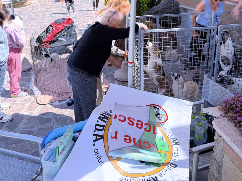 "Cuccioli d’aMare" a Ostia: allo stabilimento Plinius, porte aperte alle adozioni dell'Associazione Panda (VIDEO) 1