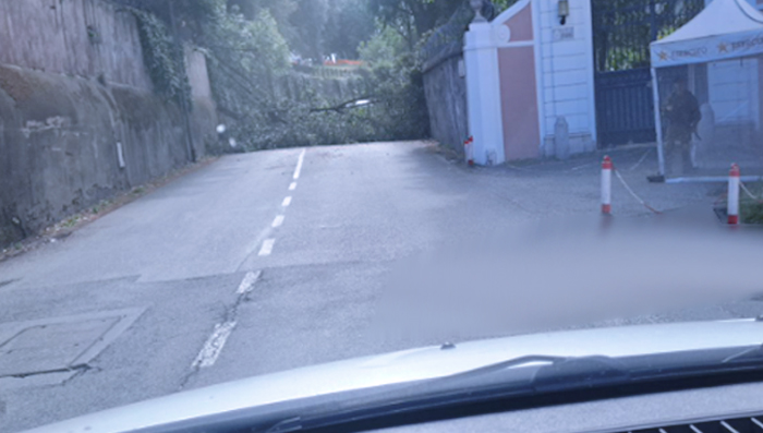 Allarme vento forte a Roma: albero crolla e abbatte un muro di Villa Pamphili, strada chiusa al traffico (FOTO) 1 Allarme vento forte a Roma: albero crolla e abbatte un muro di Villa Pamphili, strada chiusa al traffico (FOTO) 1