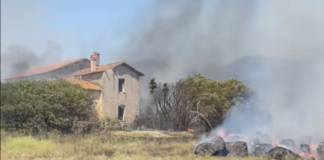 Incendio a lavinio nei pressi di tor caldara