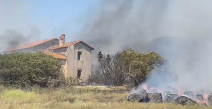 Incendio a lavinio nei pressi di tor caldara