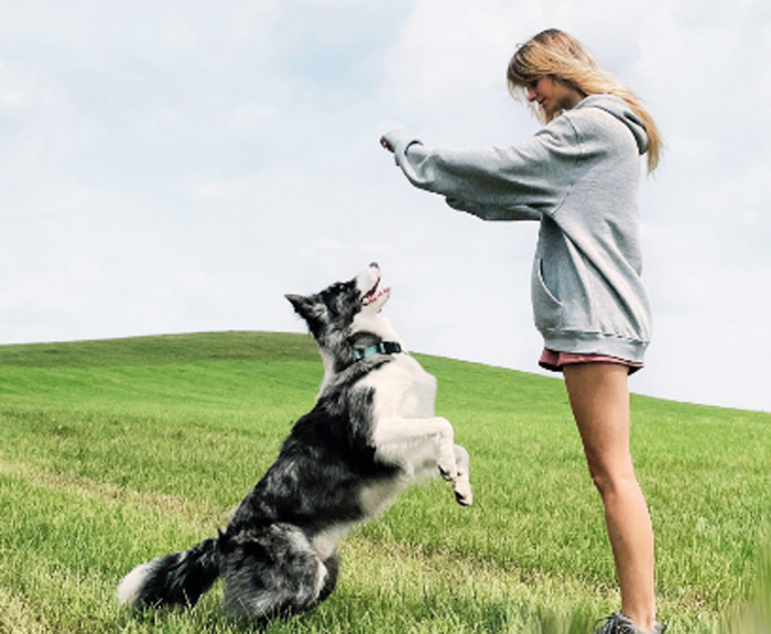 Eventi gratuiti, psicologia felina e consigli cinofili: al via il "Festival delle Creature" per capire i nostri animali 1 Eventi gratuiti, psicologia felina e consigli cinofili: al via il "Festival delle Creature" per capire i nostri animali 1