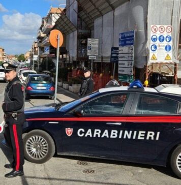Furto di generi alimentari