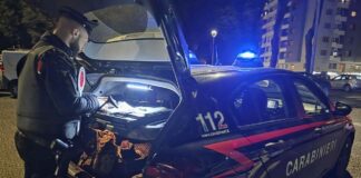 Furti tra centocelle e gordiani