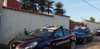 maltrattamenti in famiglia ardea